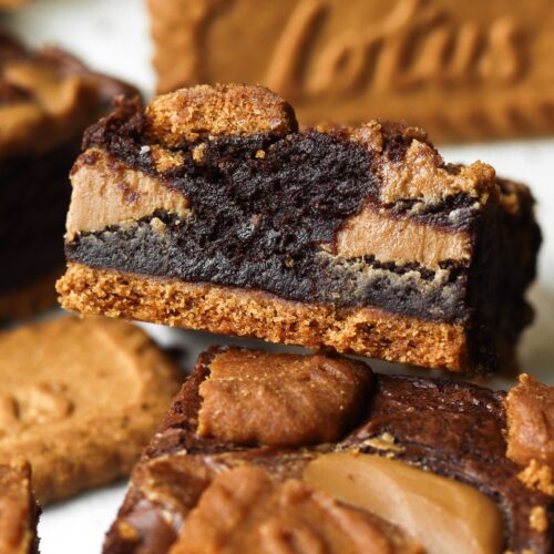 brownie lotus biscoff