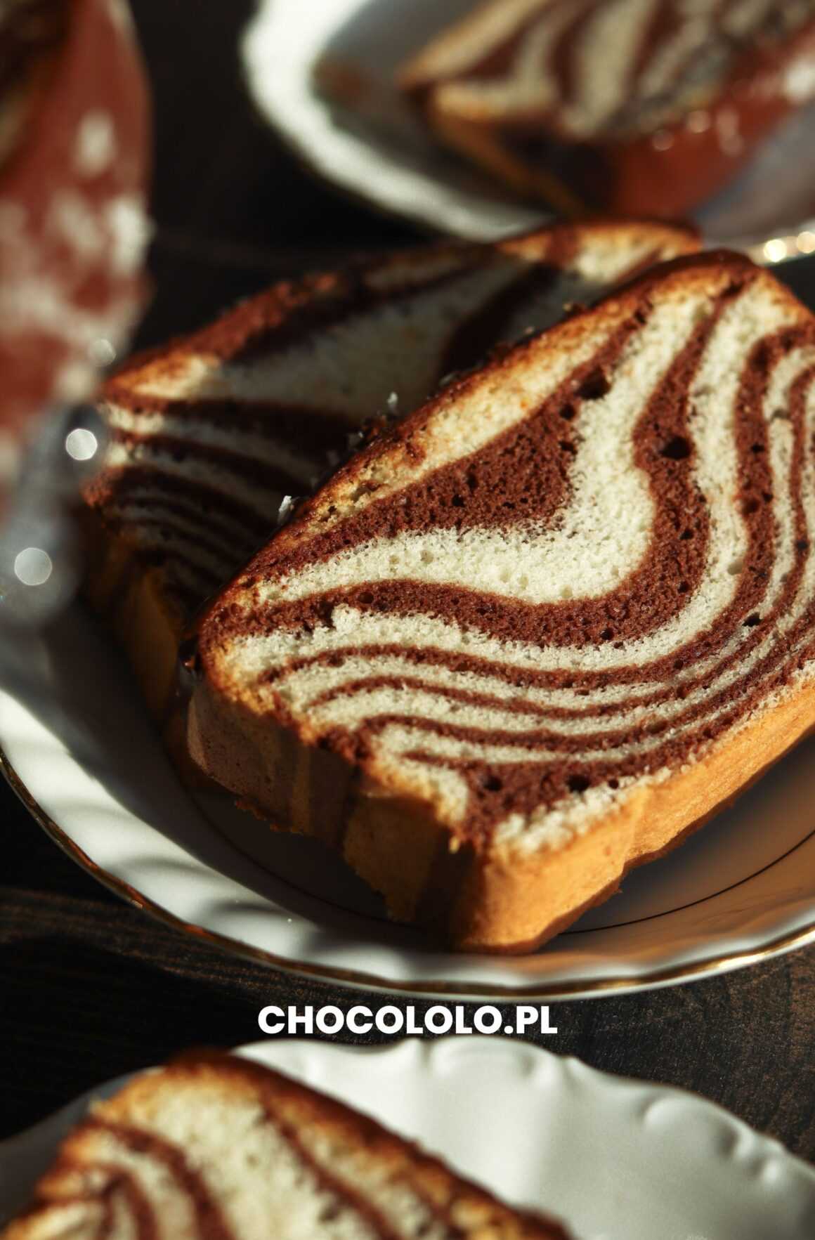 babka zebra na białkach
